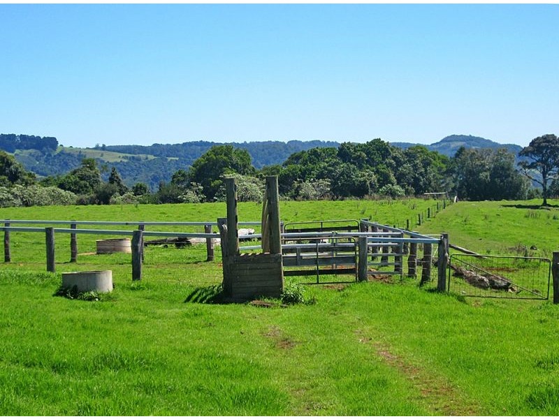 5050 Waterfall Way, Dorrigo NSW 2453