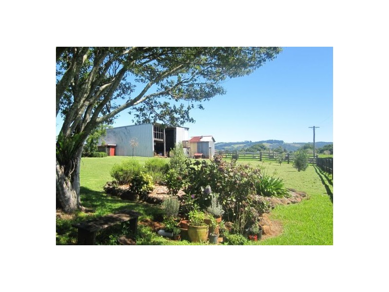 5050 Waterfall Way, Dorrigo NSW 2453