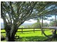 5050 Waterfall Way, Dorrigo NSW 2453