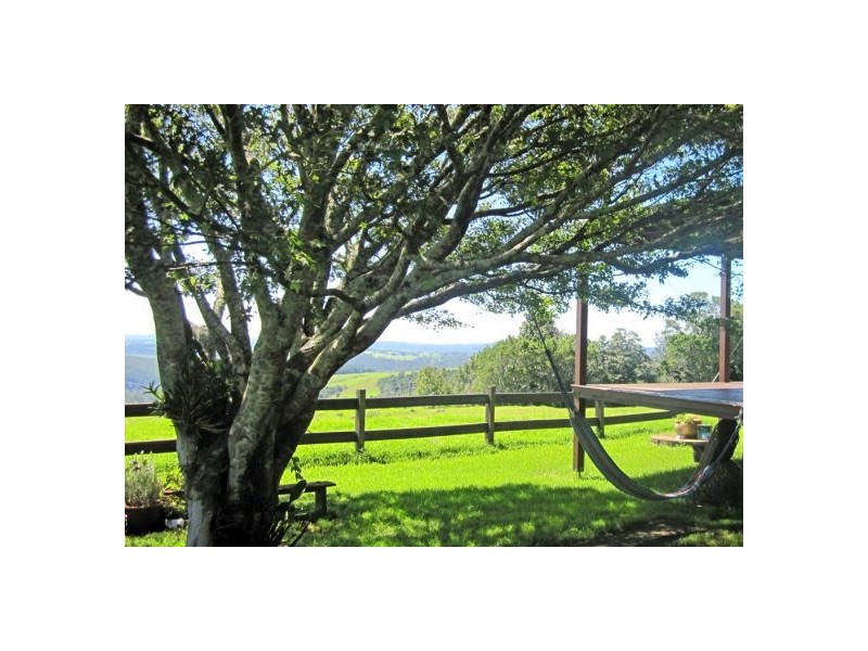 5050 Waterfall Way, Dorrigo NSW 2453