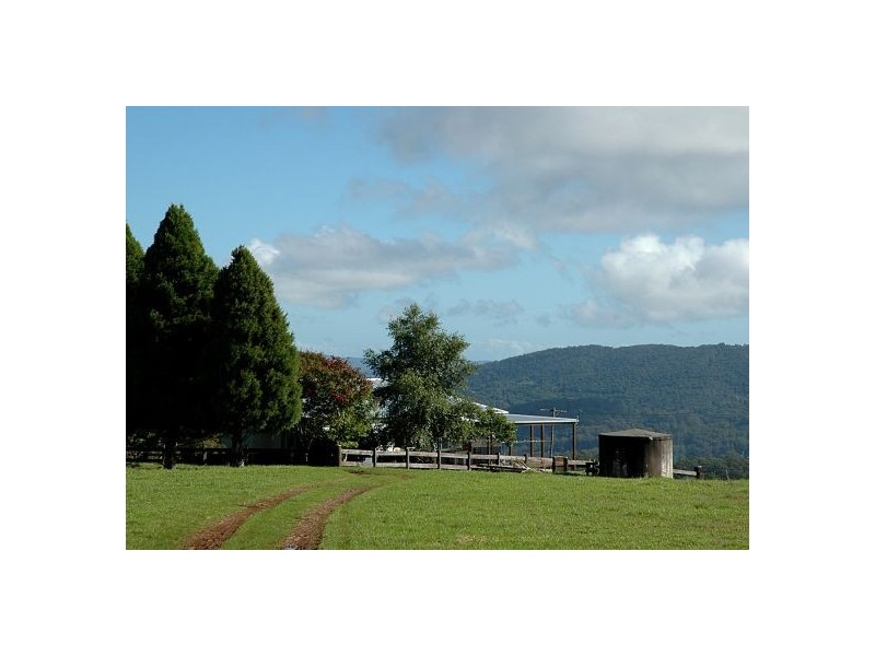 5050 Waterfall Way, Dorrigo NSW 2453
