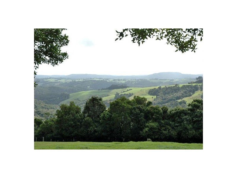 5050 Waterfall Way, Dorrigo NSW 2453