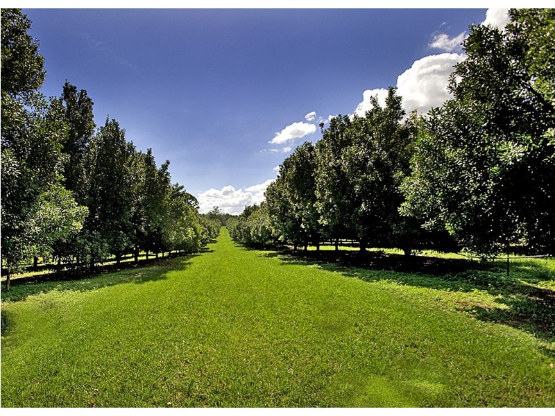 Ashby NSW 2463