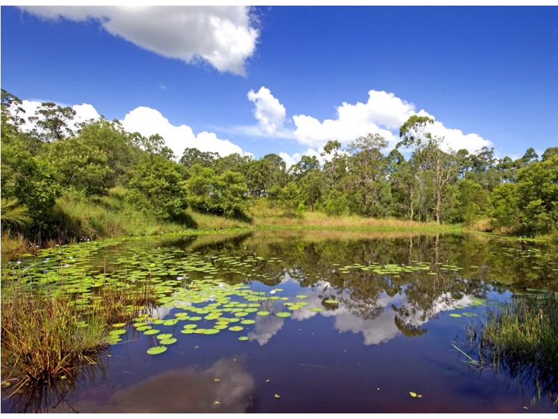 Ashby NSW 2463
