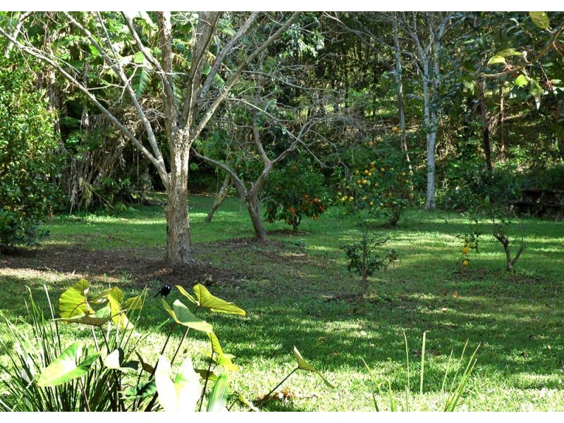 15 Middle Pocket Road, Billinudgel NSW 2483