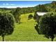 Bellingen NSW 2454