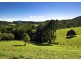 Bellingen NSW 2454