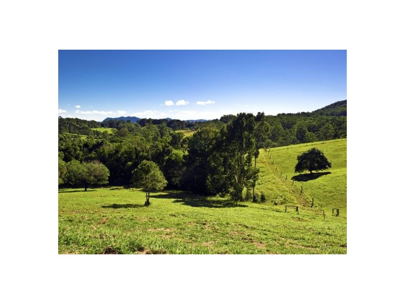 Bellingen NSW 2454