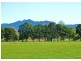 88 Gleniffer Road, Bellingen NSW 2454