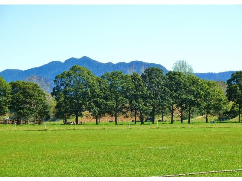 88 Gleniffer Road, Bellingen NSW 2454