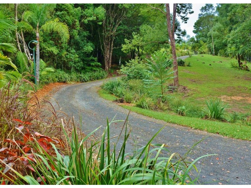 88 Gleniffer Road, Bellingen NSW 2454