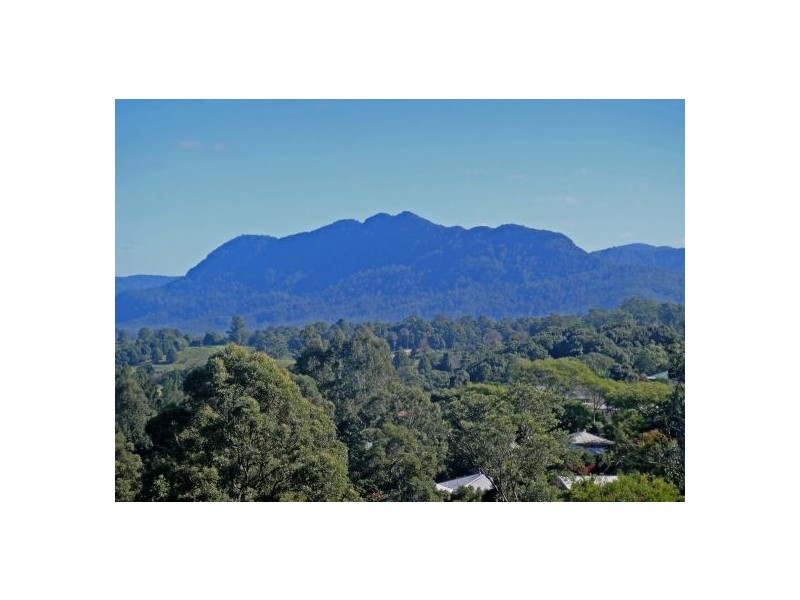Bellingen NSW 2454