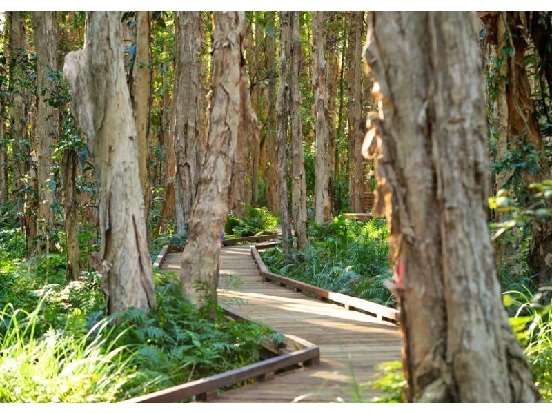 Sapphire Beach NSW 2450