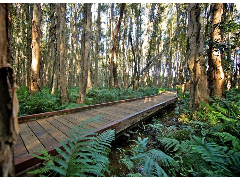 Sapphire Beach NSW 2450