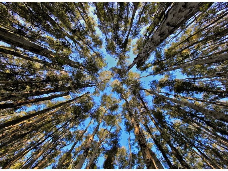 Sapphire Beach NSW 2450