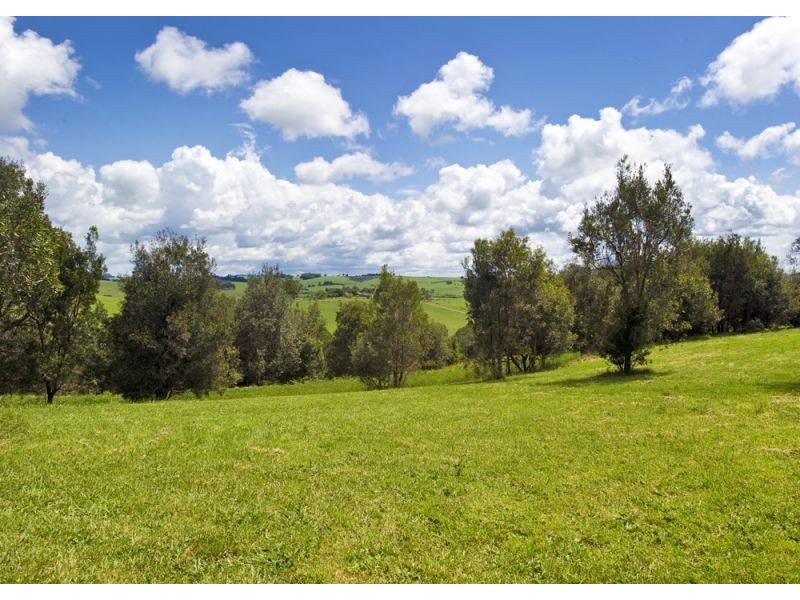 207 Maynards Plains Road, Dorrigo NSW 2453