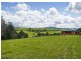 207 Maynards Plains Road, Dorrigo NSW 2453