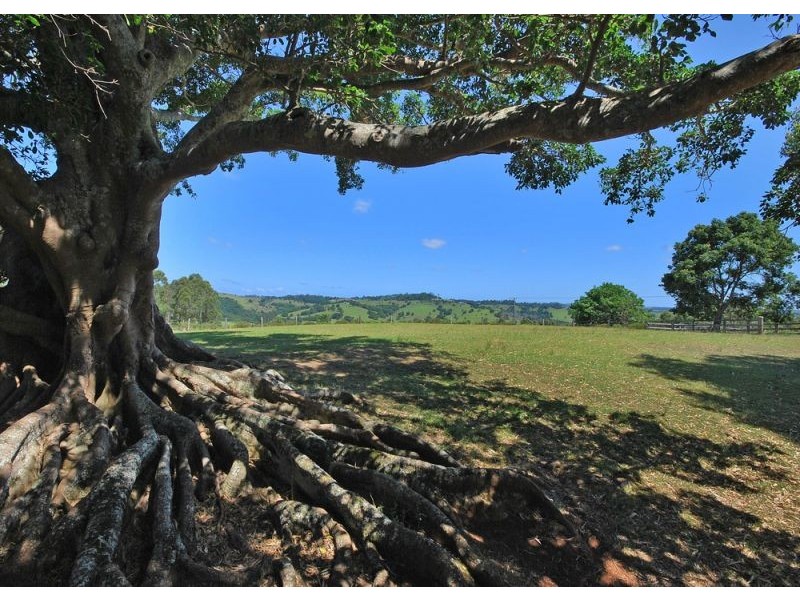 Byron Bay NSW 2481