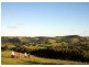 Byron Bay NSW 2481