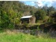 1824 Darkwood Road, Thora, Bellingen NSW 2454