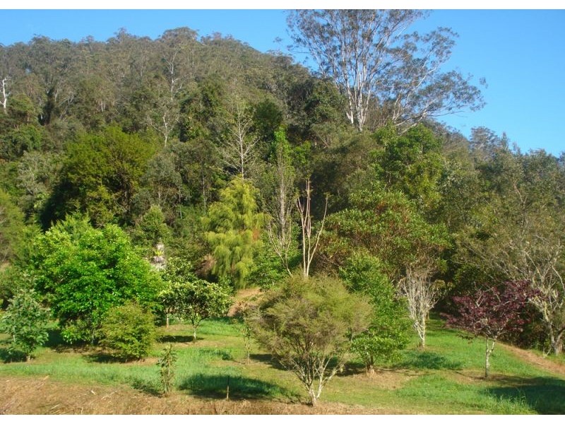 1824 Darkwood Road, Thora, Bellingen NSW 2454