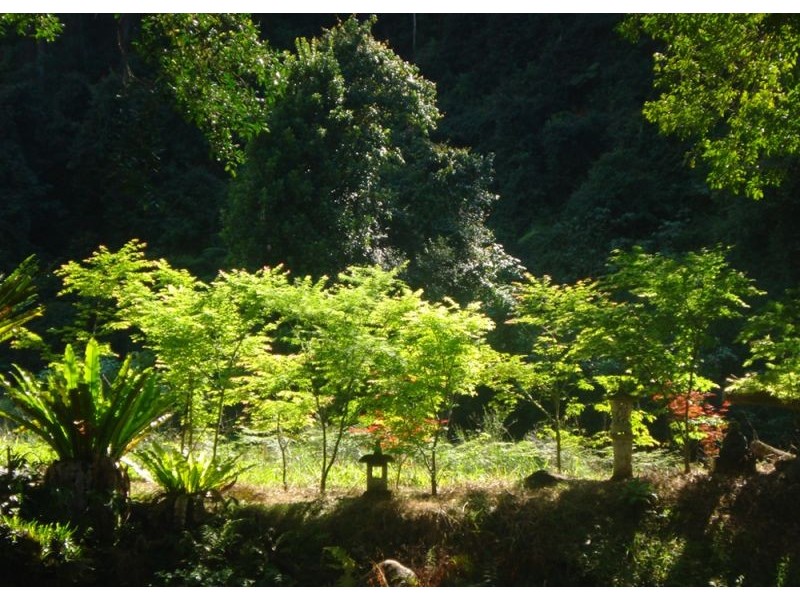 1824 Darkwood Road, Thora, Bellingen NSW 2454