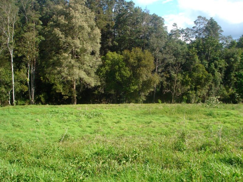 1824 Darkwood Road, Thora, Bellingen NSW 2454