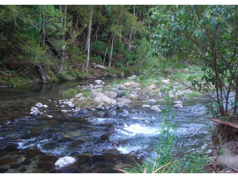 1824 Darkwood Road, Thora, Bellingen NSW 2454