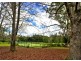 17  Short Cut Road, Bellingen NSW 2454