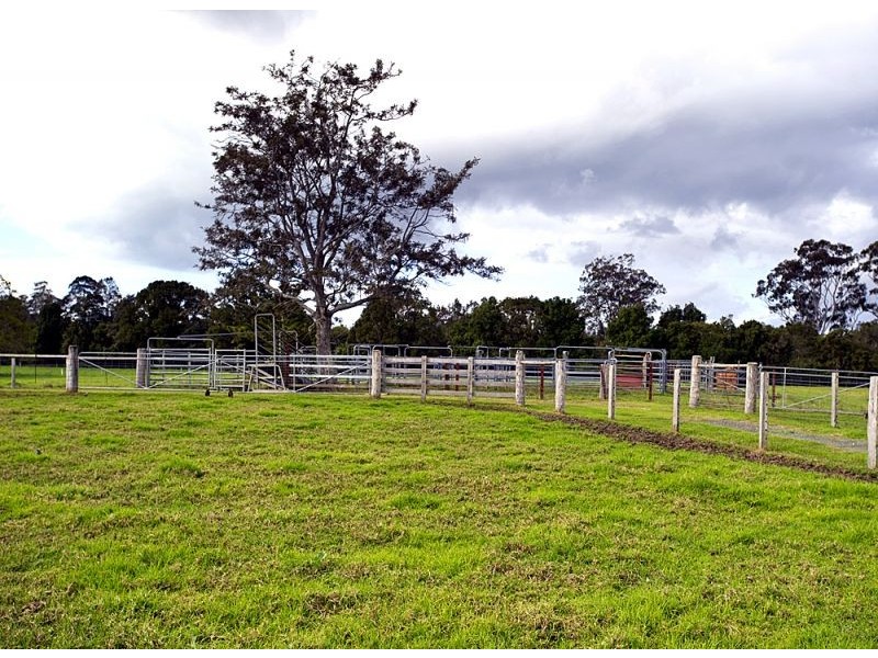 17  Short Cut Road, Bellingen NSW 2454