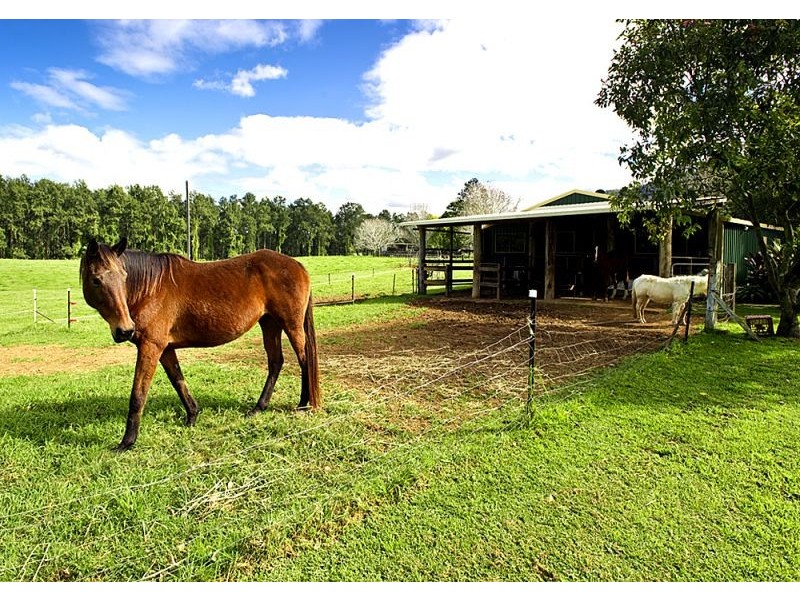 635 Gordonville Rd, Bellingen NSW 2454