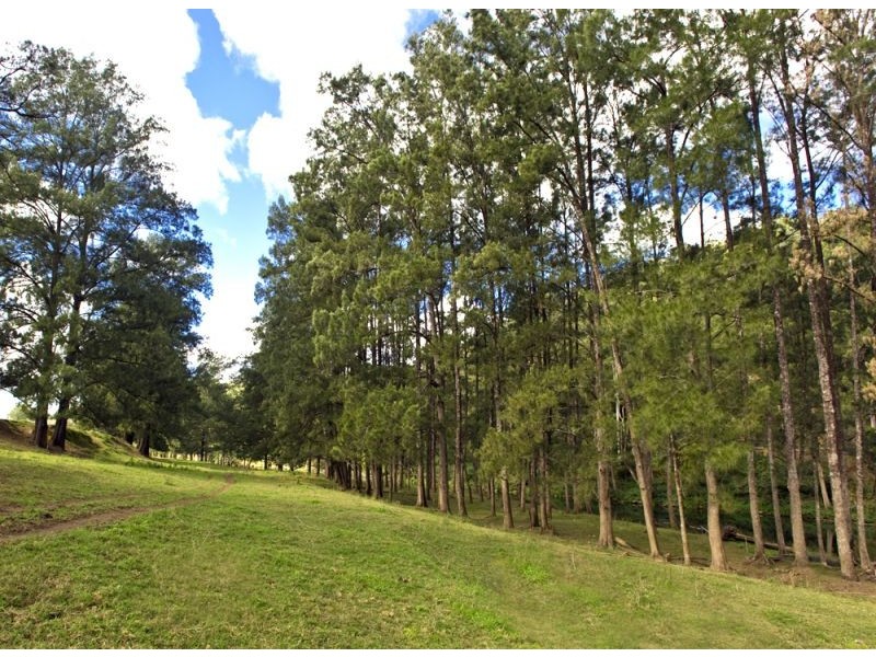 635 Gordonville Road, Bellingen NSW 2454