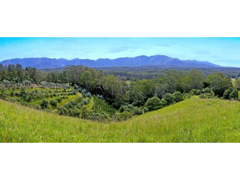 105 Kethels Road, Bellingen NSW 2454