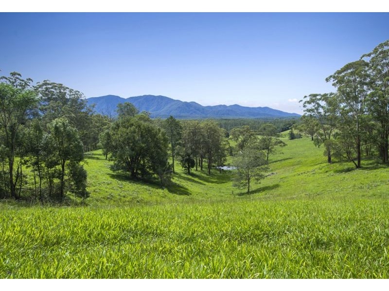 105 Kethels Road, Bellingen NSW 2454