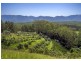 105 Kethels Road, Bellingen NSW 2454