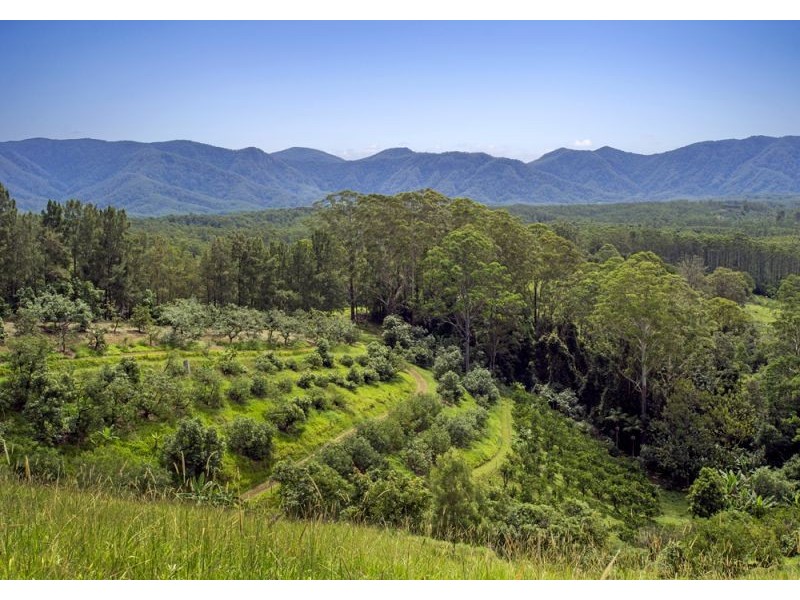 105 Kethels Road, Bellingen NSW 2454
