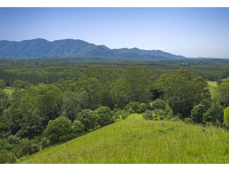 105 Kethels Road, Bellingen NSW 2454