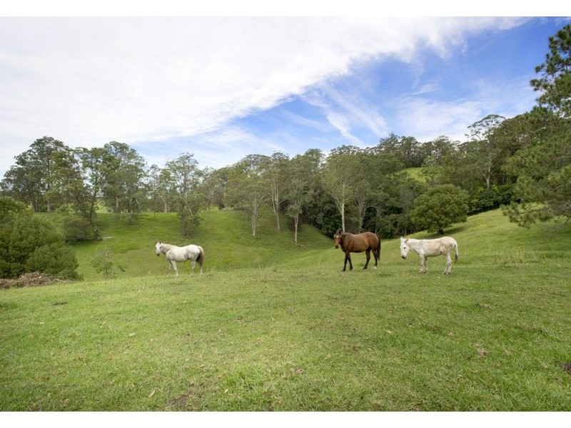 105 Kethels Road, Bellingen NSW 2454