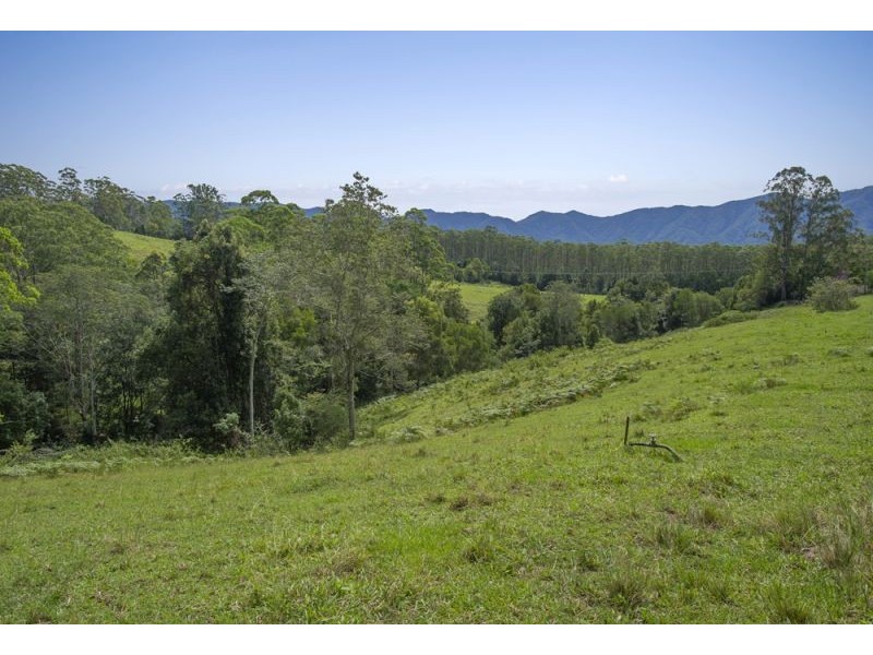 105 Kethels Road, Bellingen NSW 2454