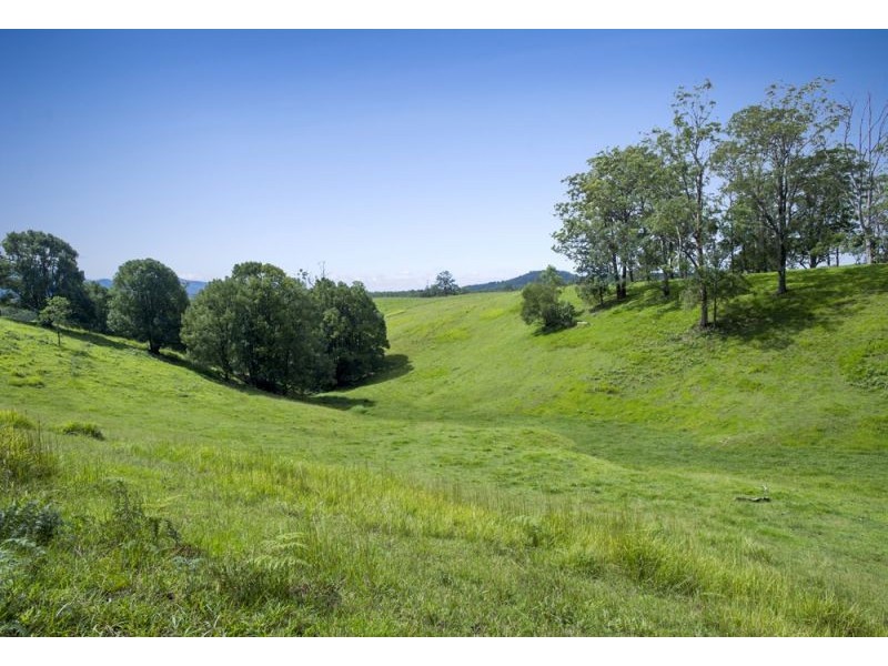 105 Kethels Road, Bellingen NSW 2454