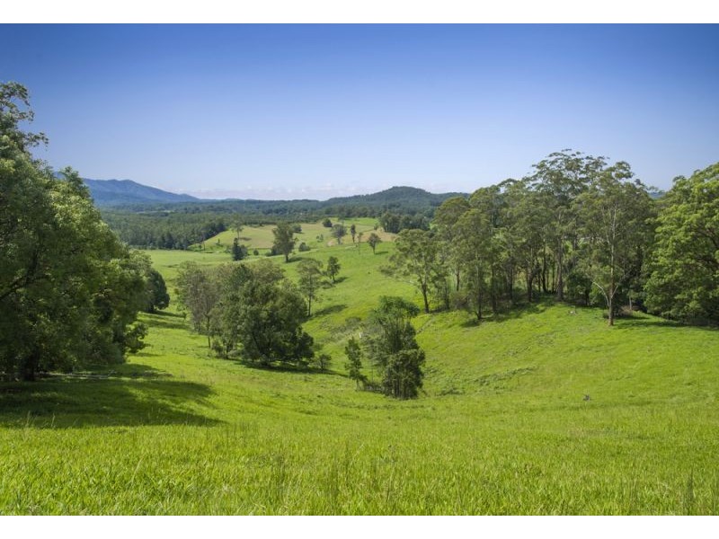 105 Kethels Road, Bellingen NSW 2454