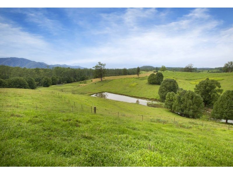 105 Kethels Road, Bellingen NSW 2454