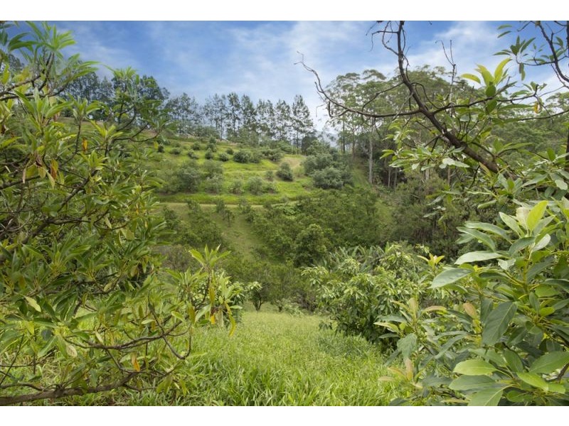 105 Kethels Road, Bellingen NSW 2454