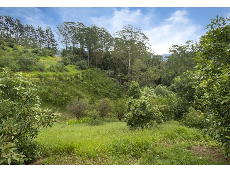 105 Kethels Road, Bellingen NSW 2454