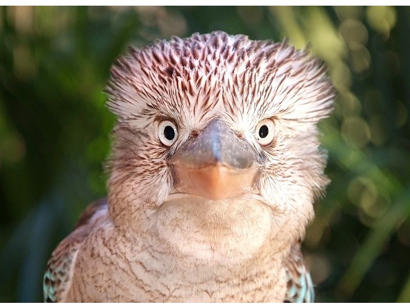 Hideaway Bay QLD 4800