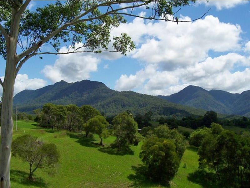 Bellingen NSW 2454