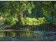1824 Darkwood Road, Bellingen NSW 2454
