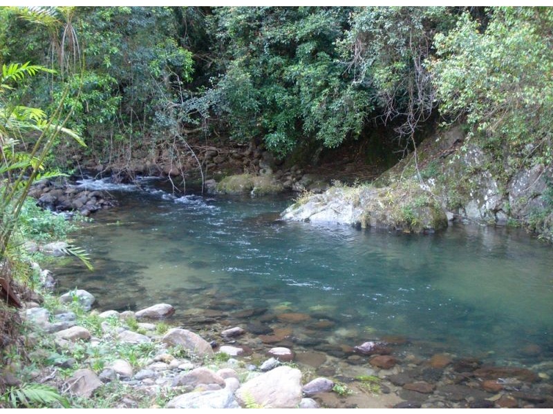1824 Darkwood Road, Bellingen NSW 2454