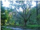 1824 Darkwood Road, Bellingen NSW 2454