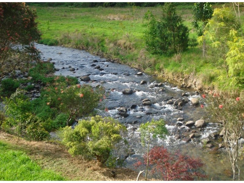 1824 Darkwood Road, Bellingen NSW 2454